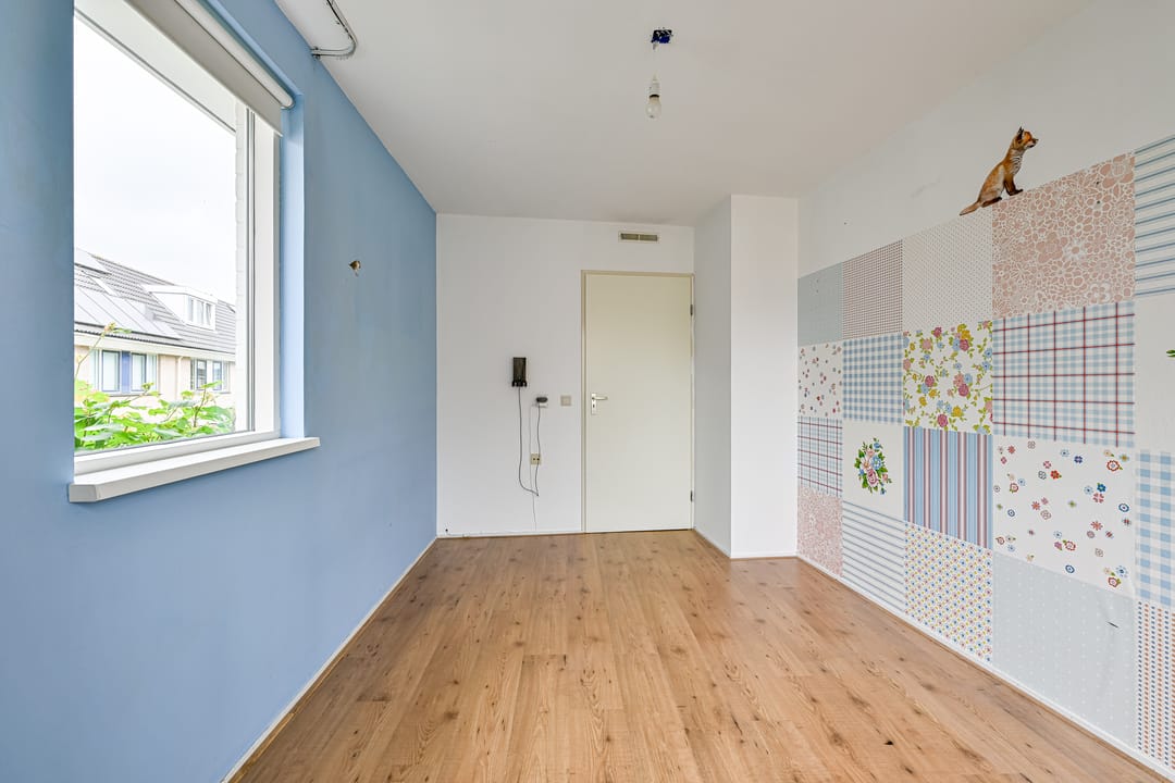 Foto 22 van Robert Stolzhof 256