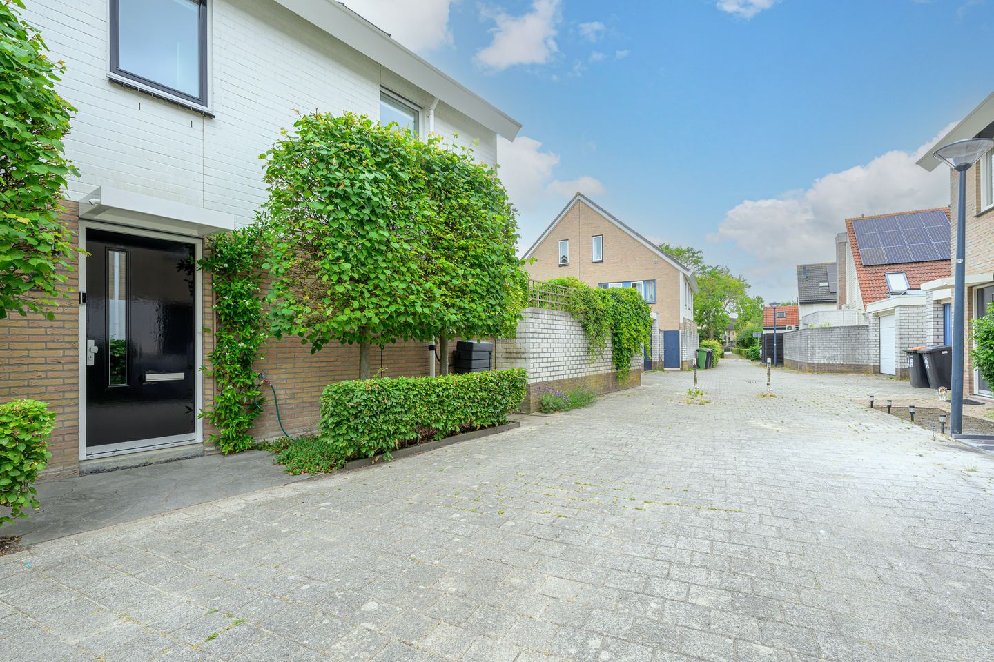 Foto 35 van Robert Stolzhof 256