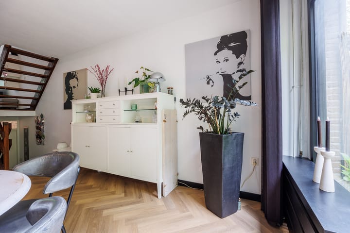 Photo 9 of Lindeboom 48