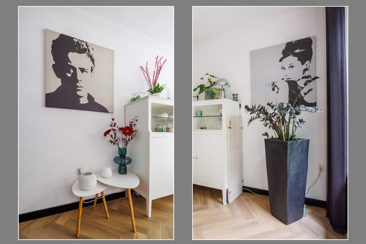 Photo 12 of Lindeboom 48