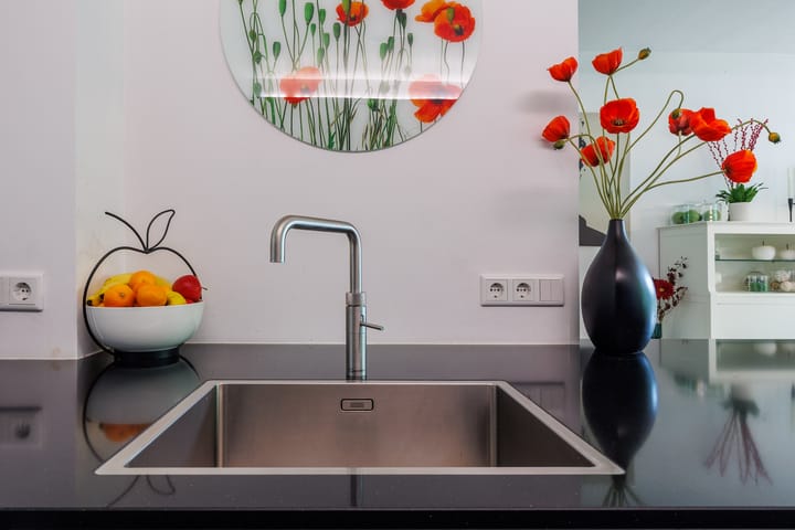 Photo 16 of Lindeboom 48