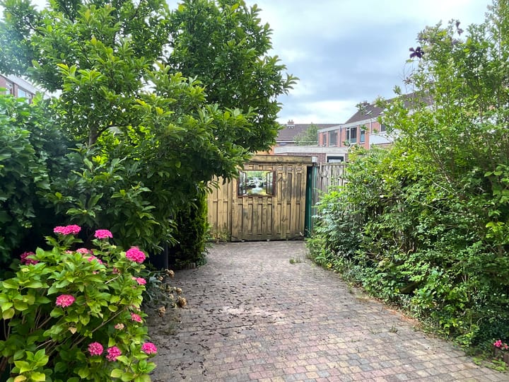 Foto 11 van Waterkers 56