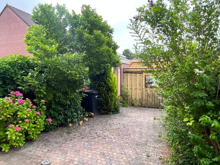 Foto 12 van Waterkers 56