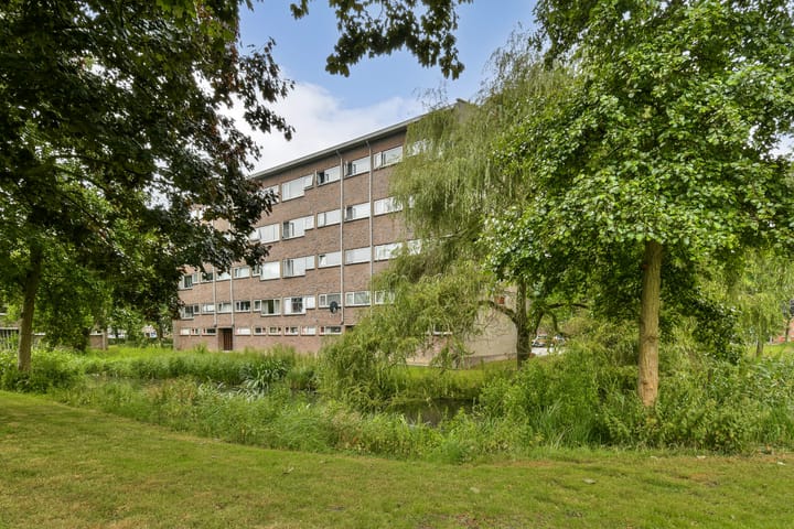 Foto 10 van Julianaplantsoen 35