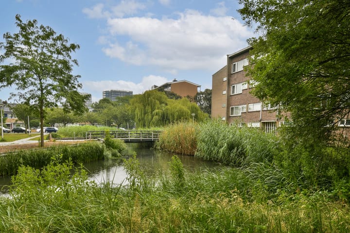 Foto 22 van Julianaplantsoen 35