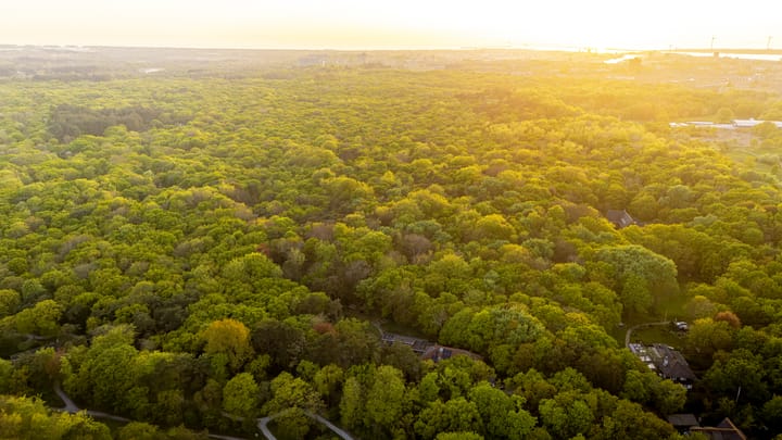 Photo 34 of Slingerduinlaan 2