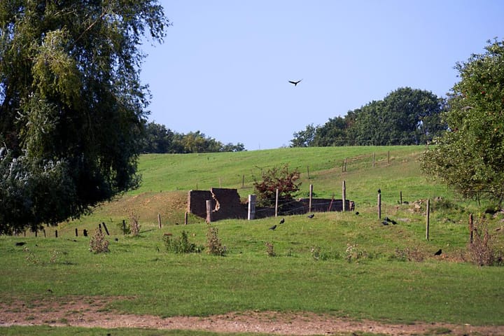 Foto 5 van Landgoed Looiwinkel, kavel A-E