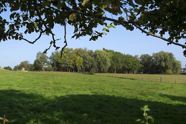 Foto 6 van Landgoed Looiwinkel, kavel A-E