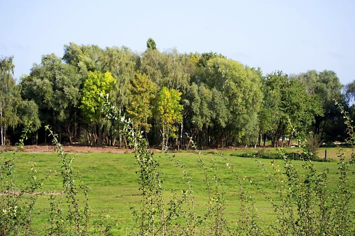 Foto 7 van Landgoed Looiwinkel, kavel A-E