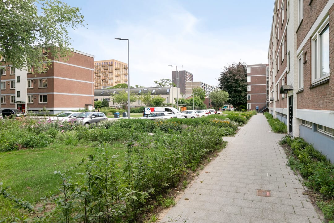 Foto 26 van Zocherstraat 51