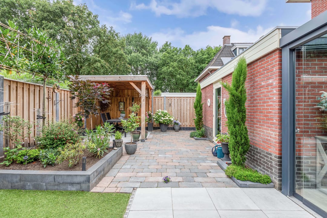 Foto 46 van Bosbes 2