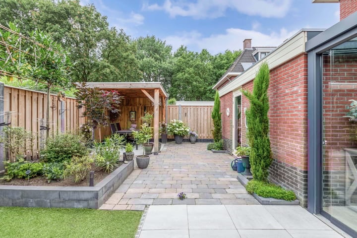 Foto 46 van Bosbes 2