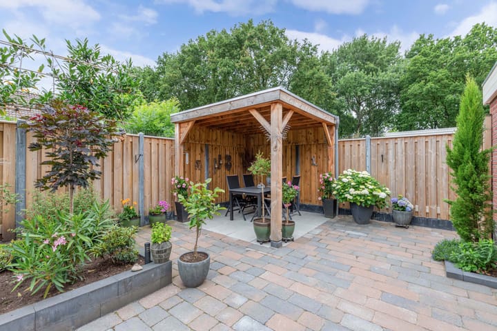 Foto 47 van Bosbes 2