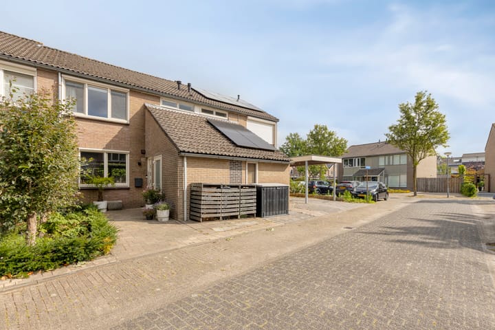 Foto 38 van de korte Spruit 3