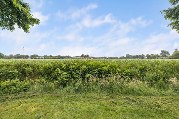 Foto 52 van De Werft 36