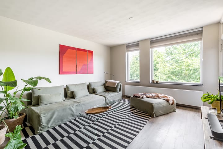 Photo 8 of Majoraan 29