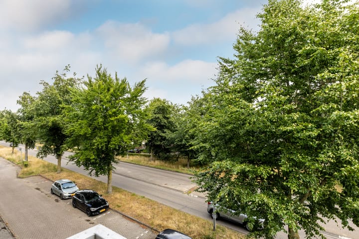 Photo 20 of Majoraan 29