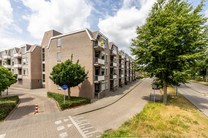 Photo 25 of Majoraan 29