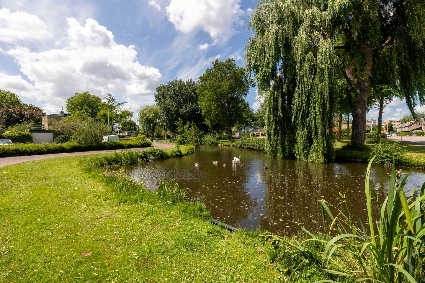 Photo 64 of Stad en Landschap 46