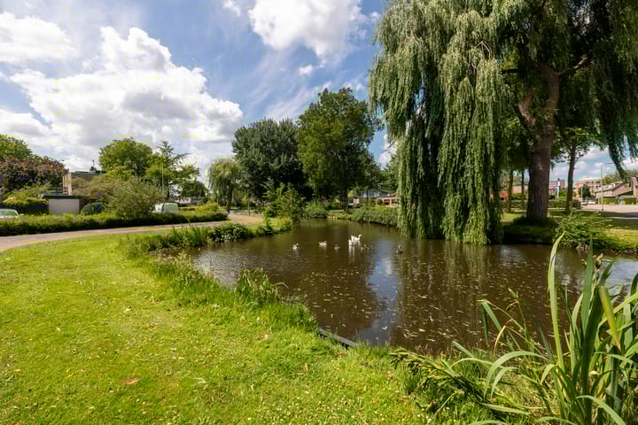 Foto 64 van Stad en Landschap 46