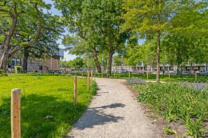 Foto 26 van Stadserf 80