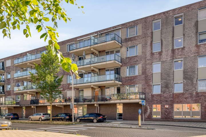 Photo 6 of Vossenzoom 73