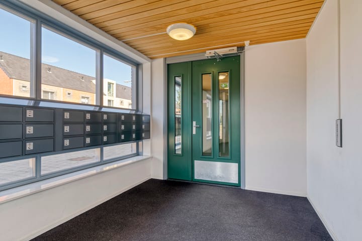 Photo 8 of Vossenzoom 73