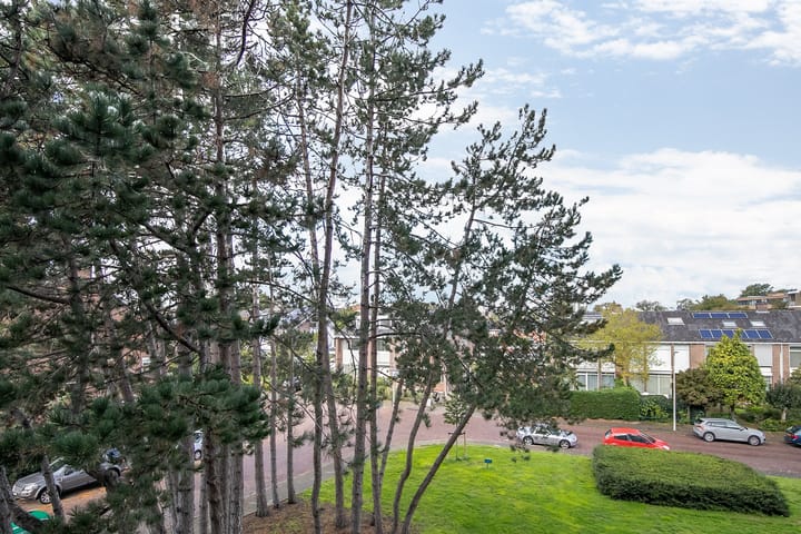 Foto 22 van Van Alkemadelaan 1150