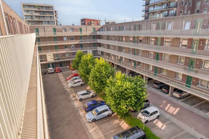 Photo 23 of Vossenzoom 73