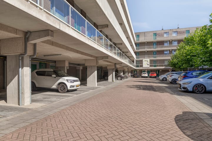 Photo 26 of Vossenzoom 73