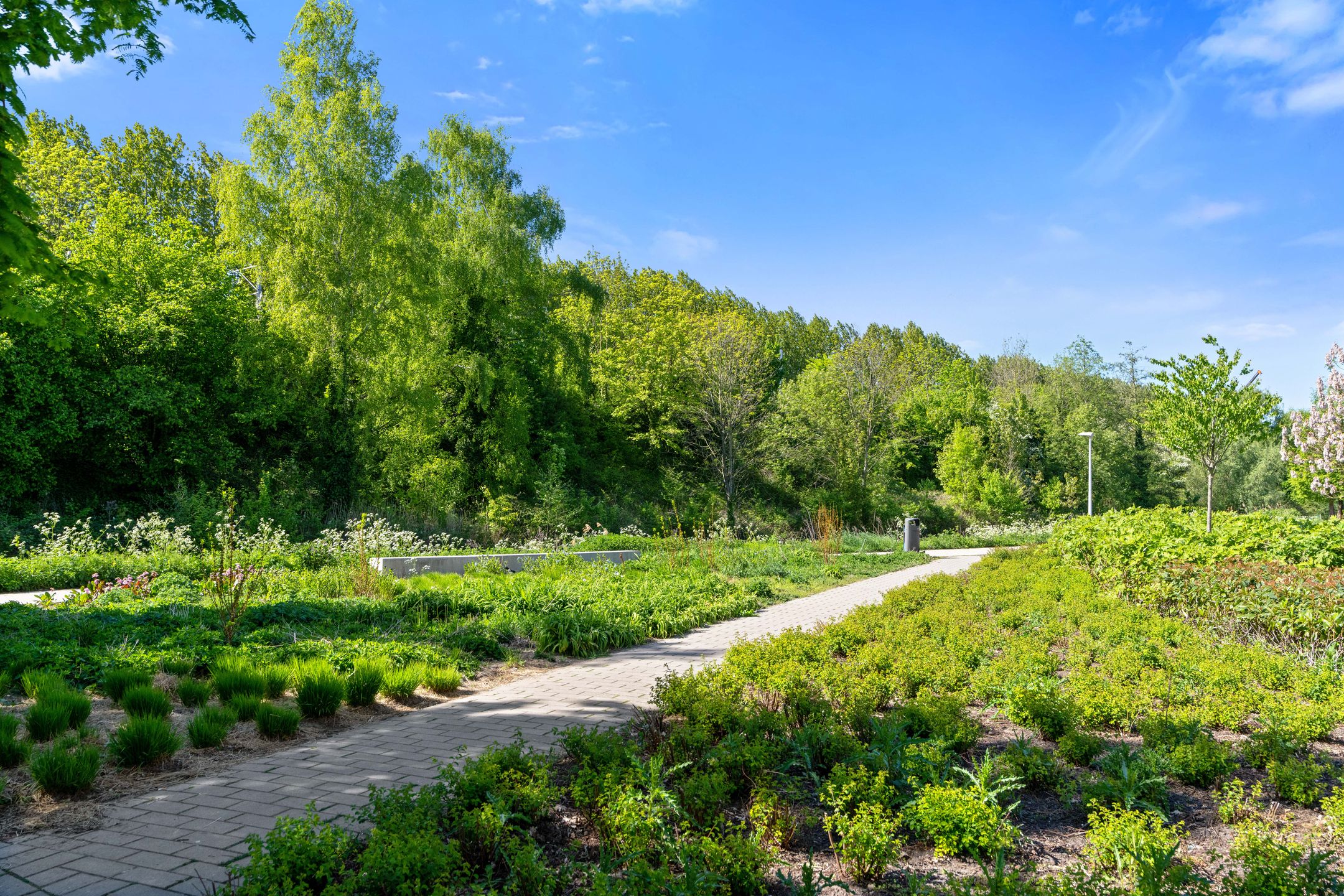 Foto 33 van Andries Copierstraat 58