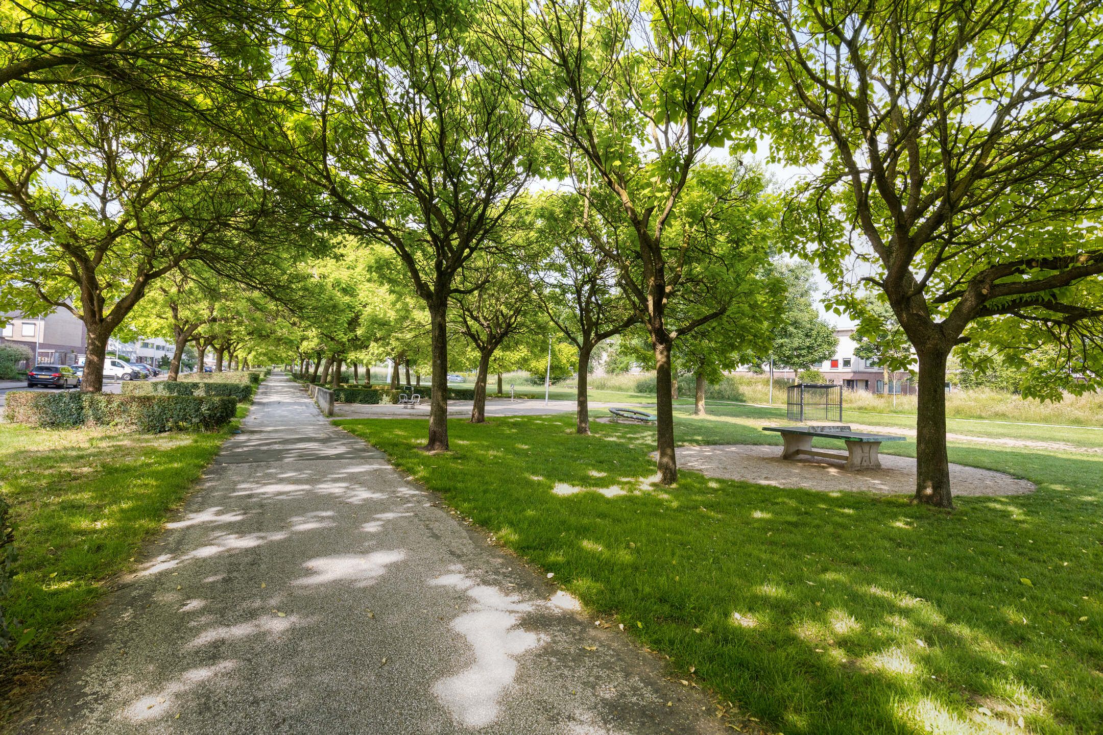 Foto 30 van Ank van der Moerstraat 24