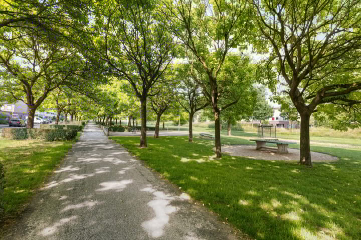 Foto 30 van Ank van der Moerstraat 24