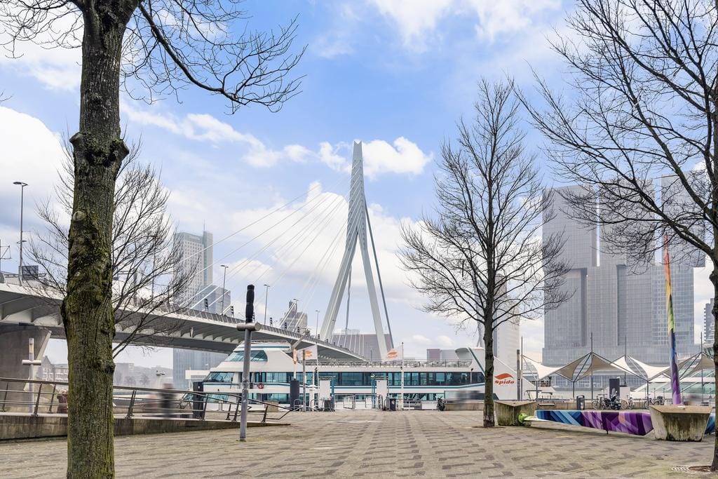 Foto 17 van Gedempte Zalmhaven 811