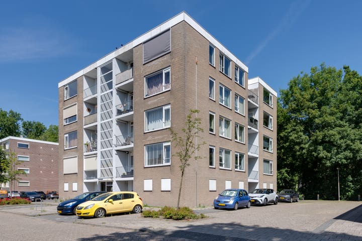 undefined main image