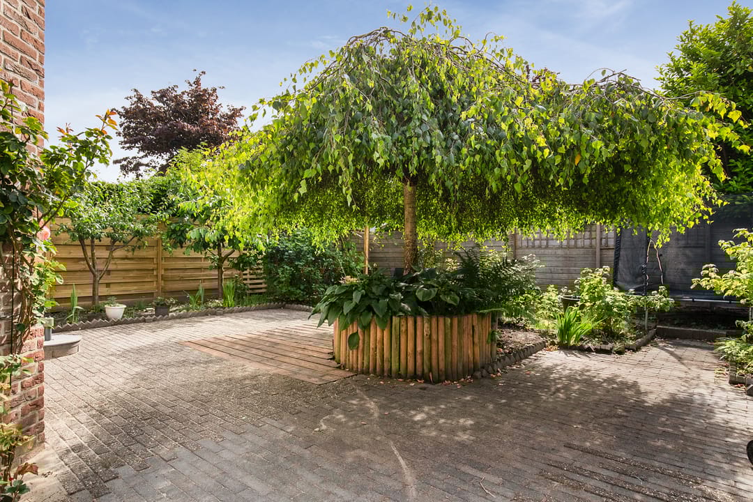 Foto 32 van Klaterbos 94