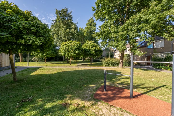 Foto 34 van Grasgors 20