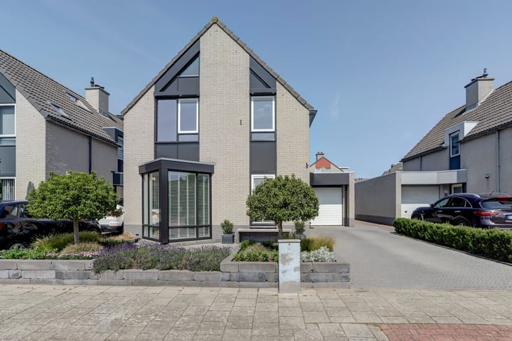 Photo 1 of Zwarte Dolfijn 65