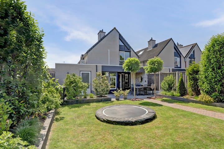 Photo 28 of Zwarte Dolfijn 65