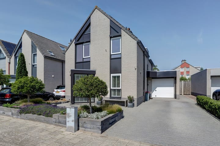 Photo 33 of Zwarte Dolfijn 65