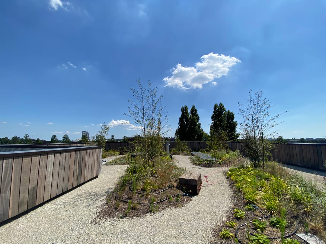 Foto 17 van Isaac Titsinghkade 4-F