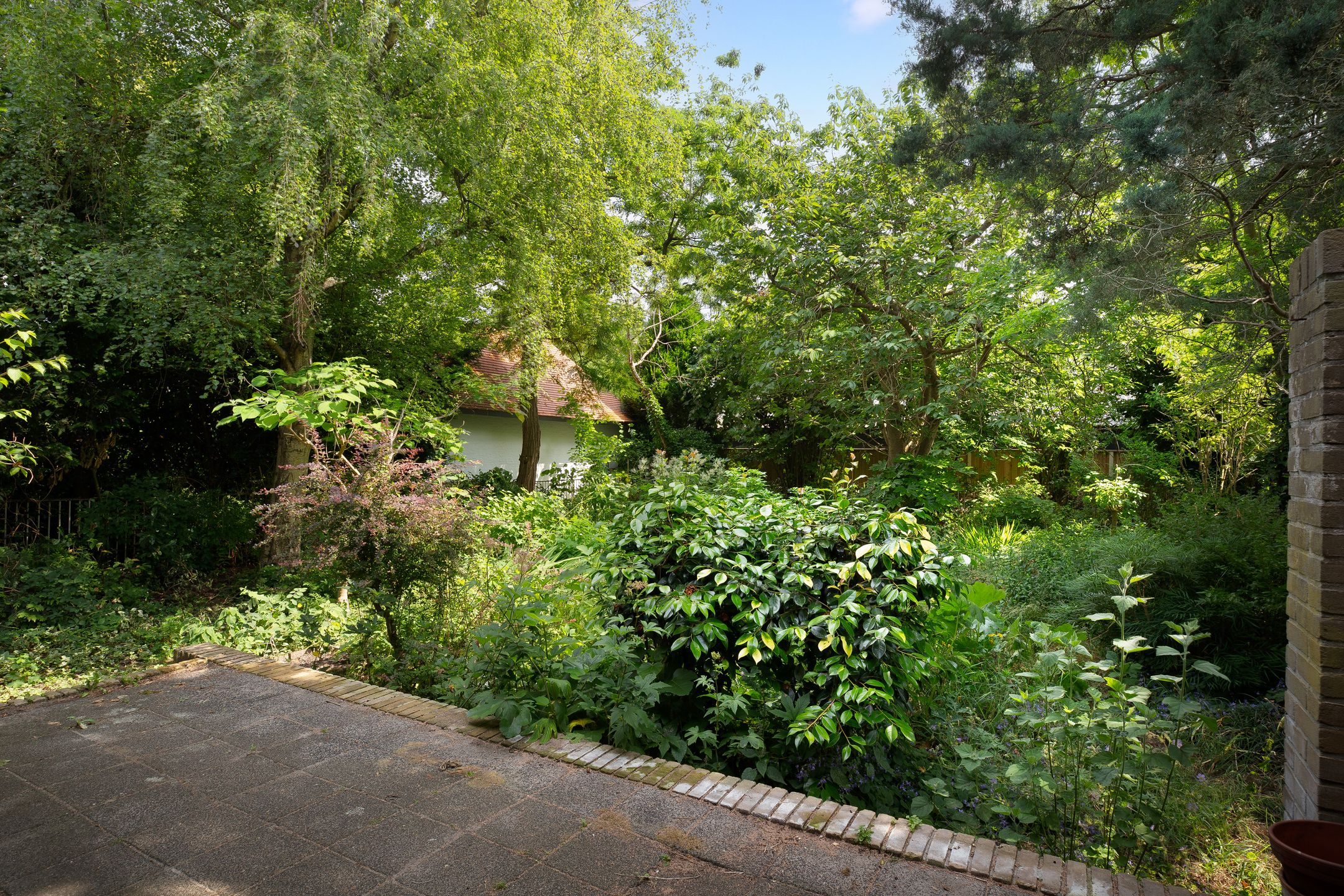 Foto 3 van Burgemeester de van der Schuerenstraat 3