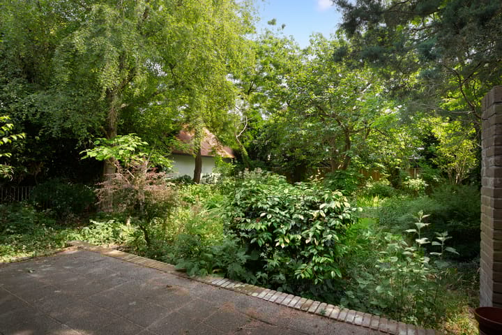 Foto 3 van Burgemeester de van der Schuerenstraat 3