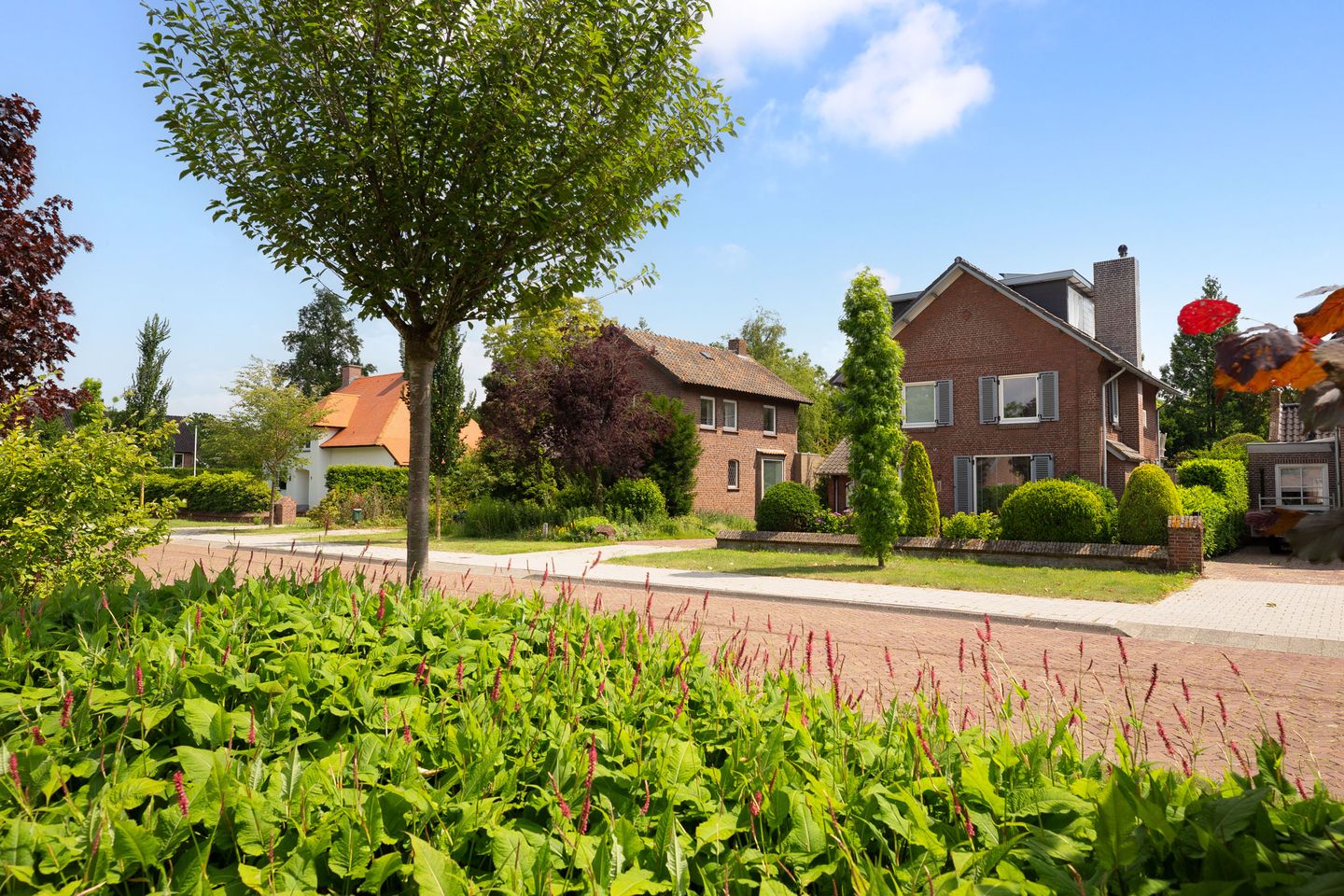 Foto 4 van Burgemeester de van der Schuerenstraat 3