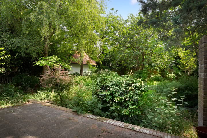 Foto 23 van Burgemeester de van der Schuerenstraat 3