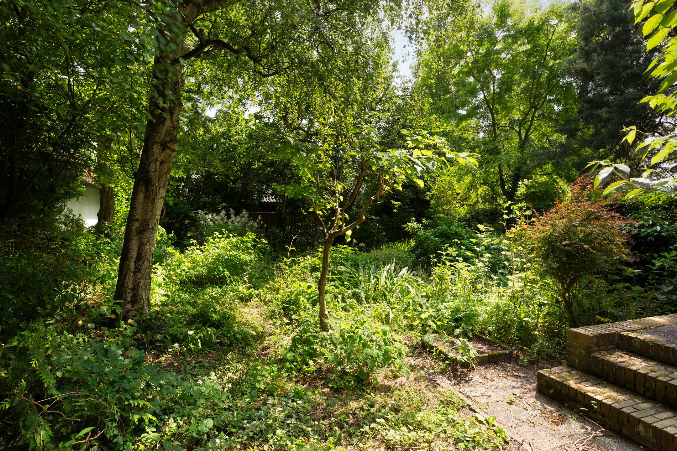 Foto 24 van Burgemeester de van der Schuerenstraat 3