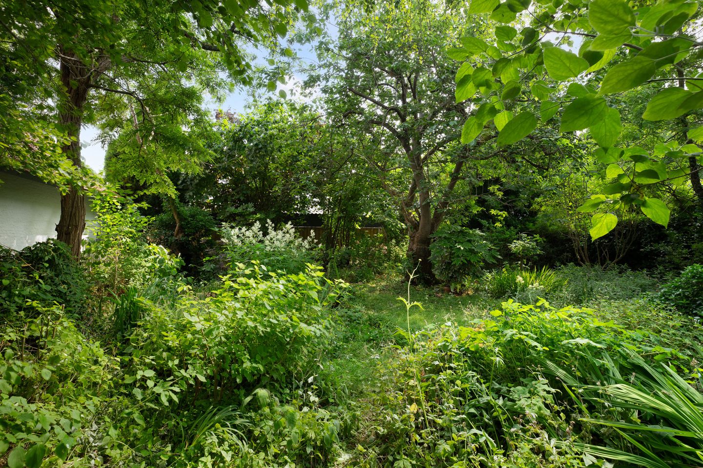 Foto 25 van Burgemeester de van der Schuerenstraat 3