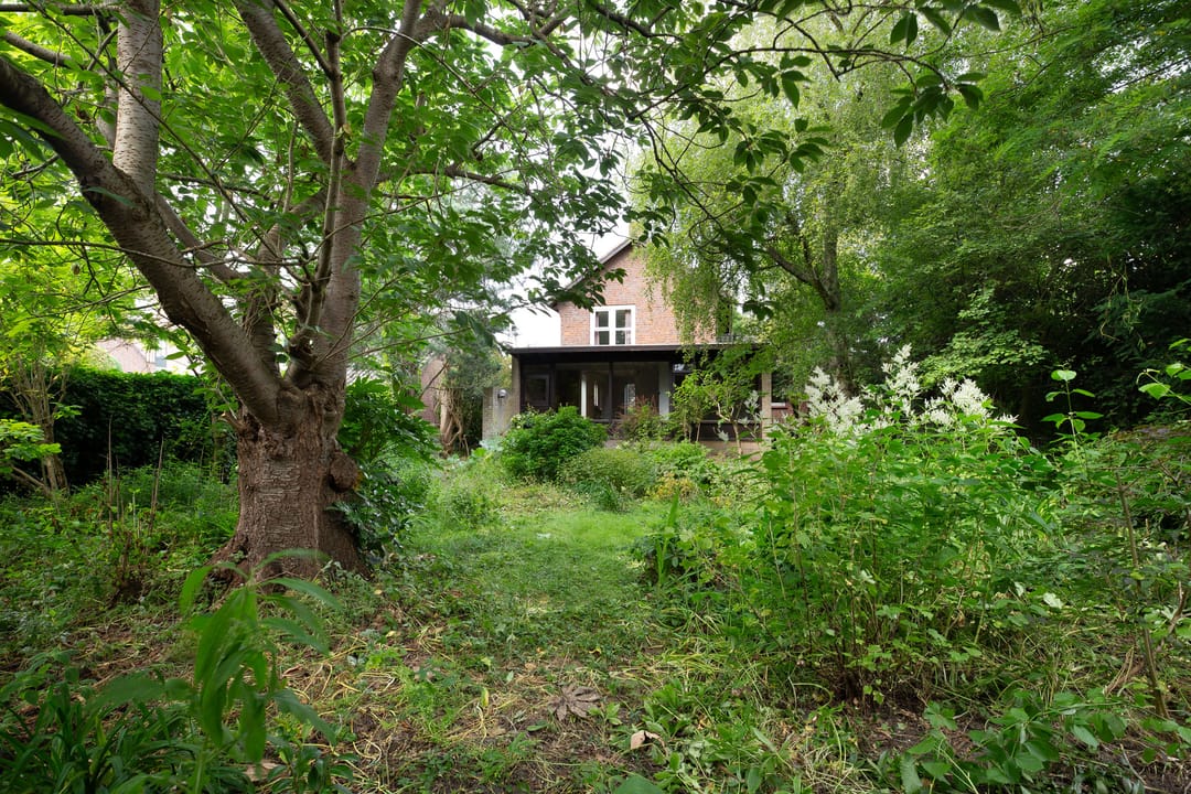 Foto 26 van Burgemeester de van der Schuerenstraat 3