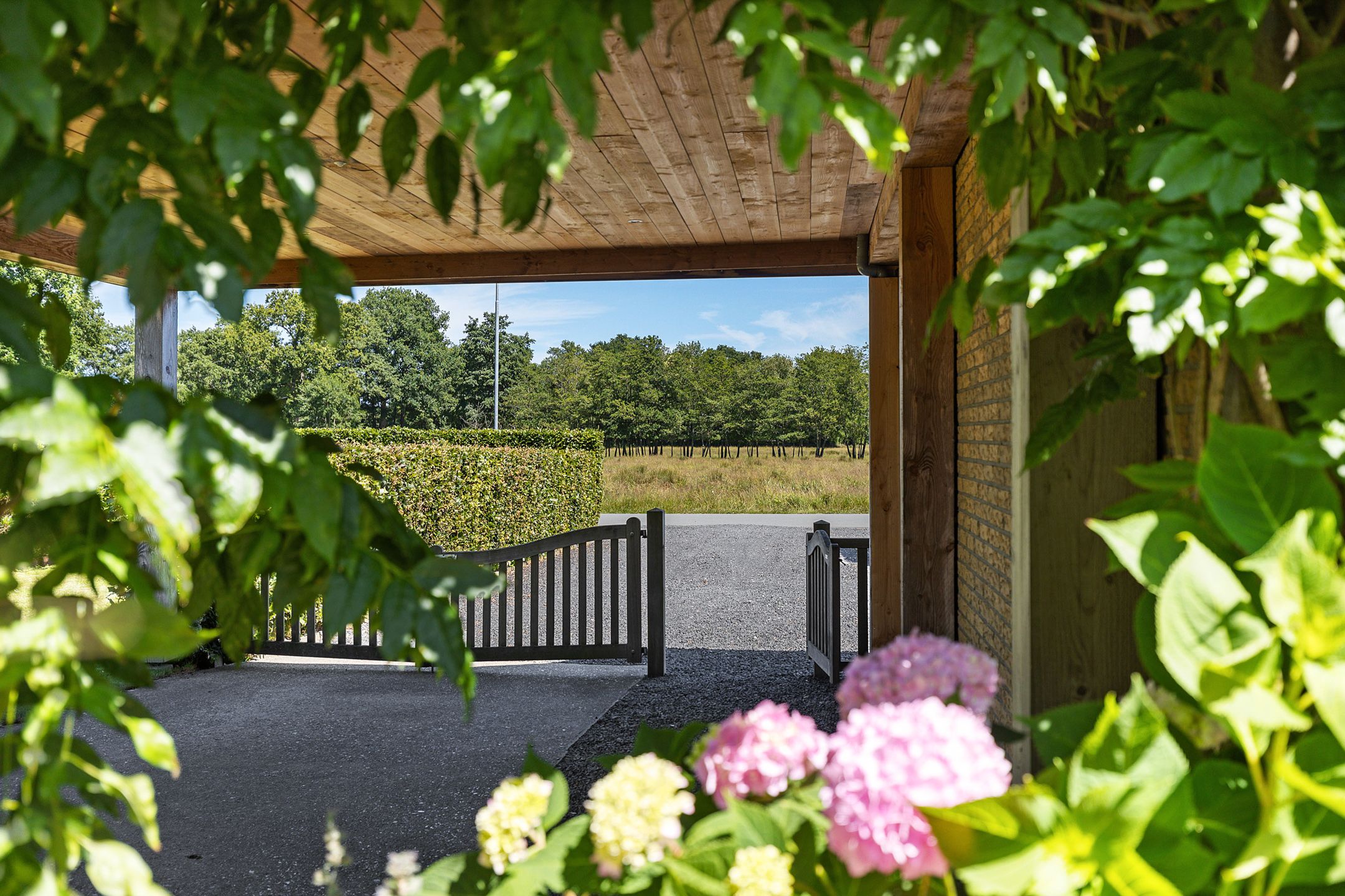 Foto 36 van Schelfhorst 24