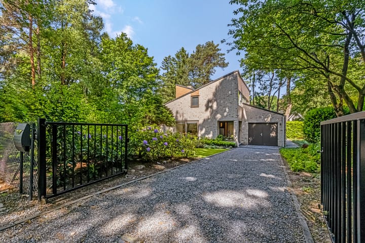 Foto 56 van Thijsselaan 11